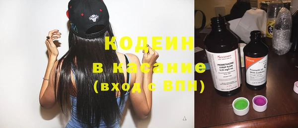 гидра Бородино