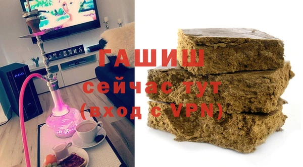 гидра Бородино