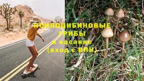 крисы Всеволожск