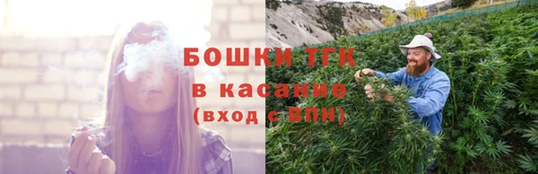 гидра Бородино