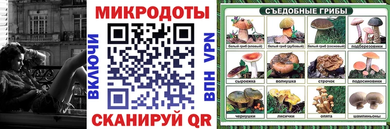 Галлюциногенные грибы Psilocybine cubensis  Гусев 